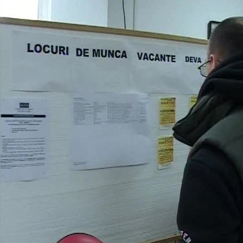 Peste 1000 de absolvenţi de studii superioare din Deva nu îşi găsesc locuri de muncă 