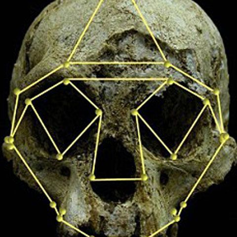 Craniu de ''hobbit'', aparţinând unui stadiu necunoscut al evoluţiei umane, descoperit în Indonezia