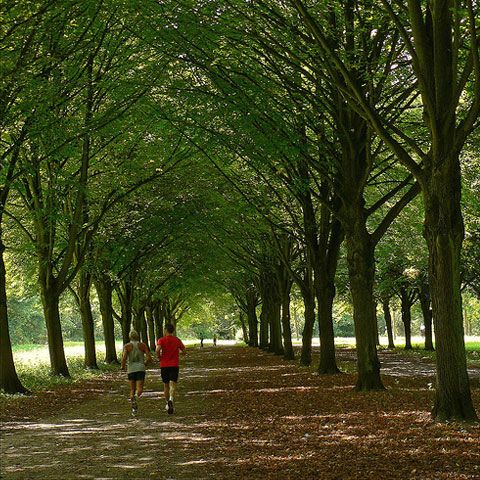 Aerul curat creşte durata medie de viaţă 