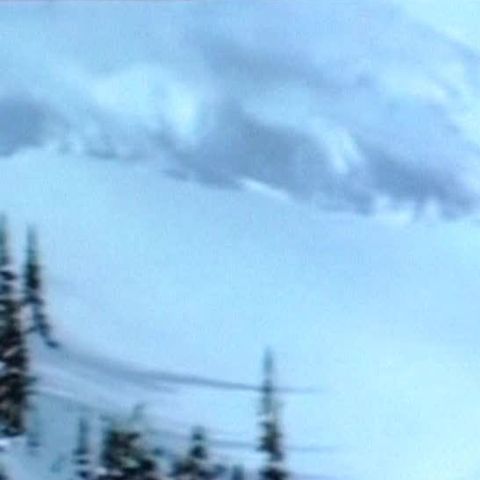 Cod portocaliu de avalanşe la munte