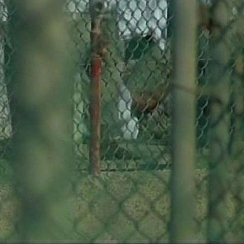 Un fost deţinut al Guantanamo, eliberat în 2007 a redevenit membru al reţelei Al-Qaida