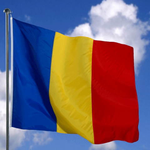 Steagul României la antrenamentele Al-Hilal