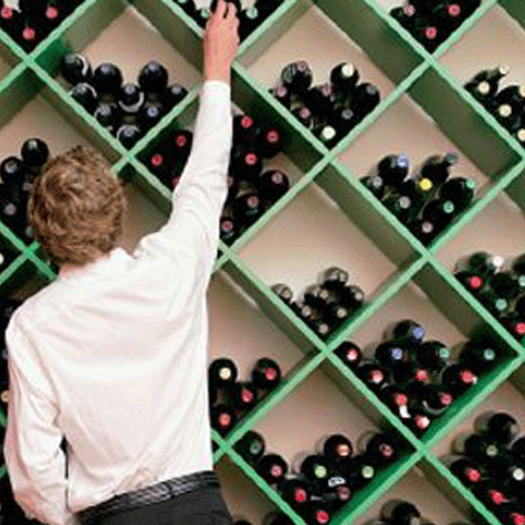 Familia Antinori, interesată să producă vinuri în România, în parteneriat cu Halewood