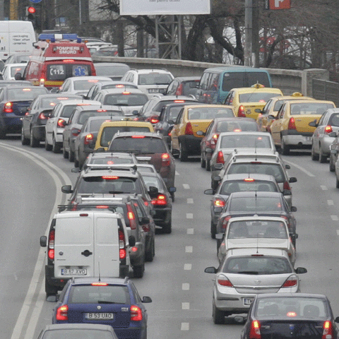 Berlinul oferă 2.500 euro pentru casarea unei rable