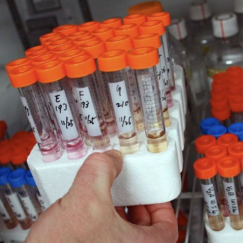 Anchetă la un spital din Iaşi, după ce un bărbat cu HIV a fost pus să-şi ducă probele de sânge la laborator