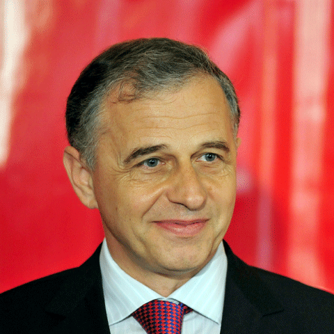 Geoană, împins de filiale spre Cotroceni - Năstase este tras doar de Iliescu