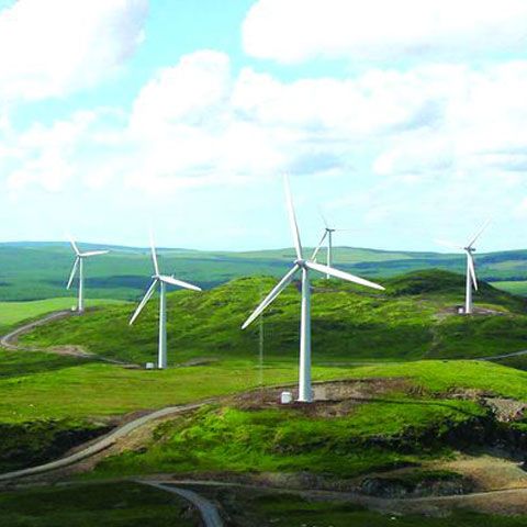 Cine face jocurile pe eolian în România 