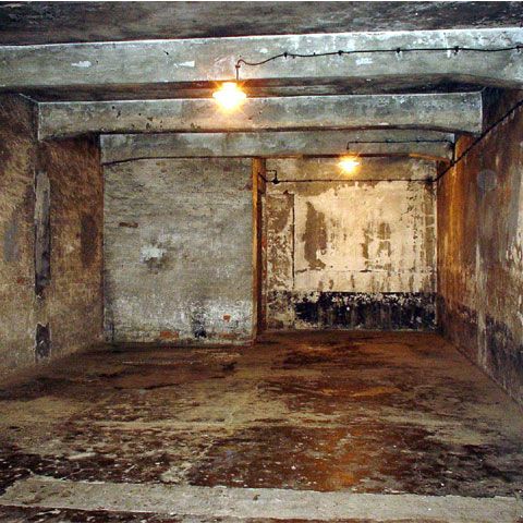 Un preot italian afirmă că rolul camerelor de gazare naziste era de dezinfecţie