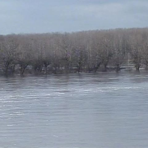 Sute de hectare de teren agricol au fost acoperite de apă 