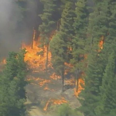 Cel puţin 30 de persoane au murit în Australia din cauza caniculei fără precedent