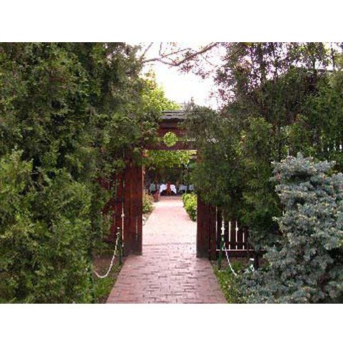 Localul Golden Blitz a fost demolat la sfârşitul săptămânii trecute