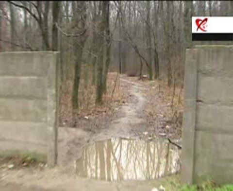 Anchetă la Ciorogârla: armele sunt în ţară