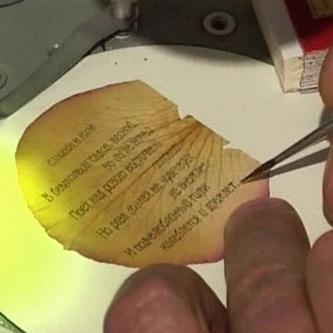 Un artist rus a creat o carte din petale de trandafir 