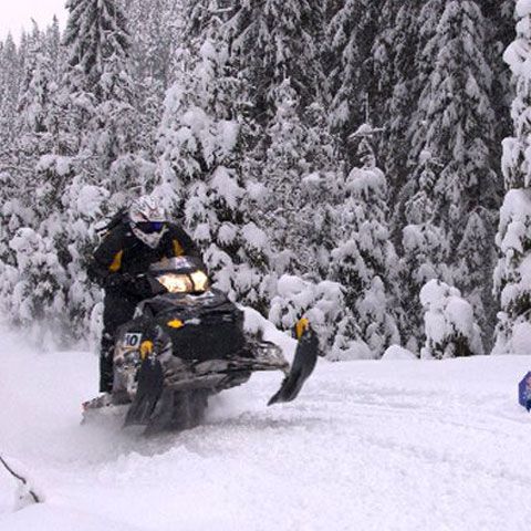 Lui Căşuneanu jr. îi pute asfaltul 