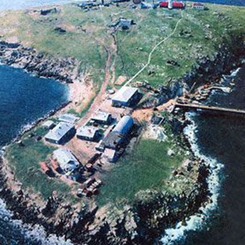 Romgaz şi LukOil România sunt interesate de concesionarea perimetrelor de pe platoul continental