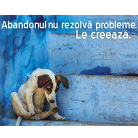 Asociaţiile de protecţia animalelor susţin sterilizarea obligatorie a câinilor şi  pisicilor. Cum comentaţi?