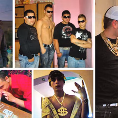 Cocalarul, varianta masculină a piţipoancei