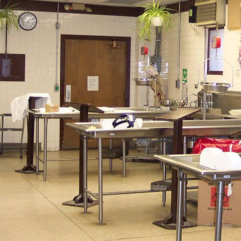 Rezultatul autopsiei în cazul pacientei decedate la Satu Mare a confirmat diagnosticul pus de cardiolog