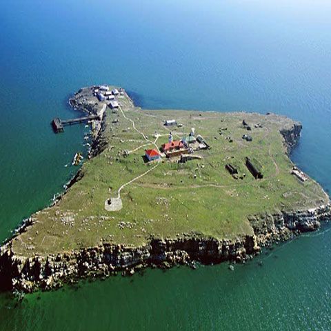 Găbudeanu a discutat cu preşedintele Băsescu joi, la Cotroceni, despre contractul încheiat cu Sterling