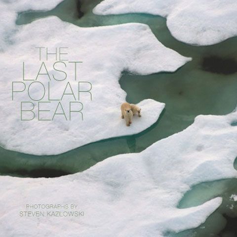 Ultimul urs polar, adevărul unei lumi în încălzire