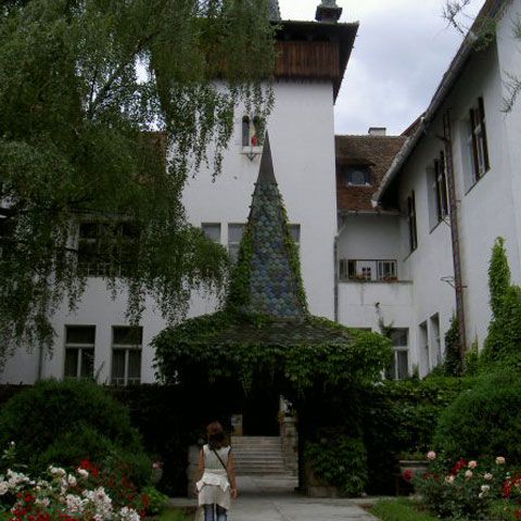 Maghiarii din Harghita şi Covasna au protestat la Sfântu Gheorghe, cerând păstrarea posturilor obţinute de UDMR în 2004 