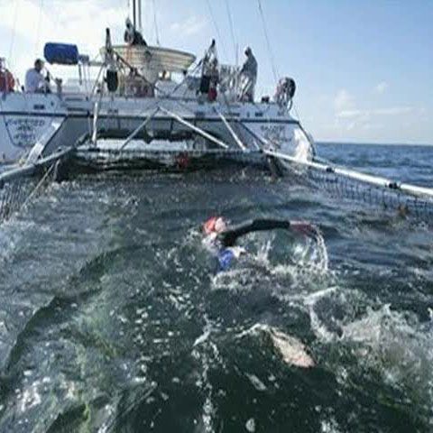 O înotătoare din SUA a traversat Atlanticul în 24 de zile