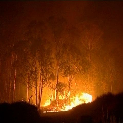 173 de morţi în urma incendiilor de vegetaţie din Australia