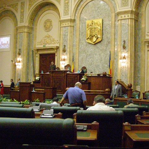 Ţuica şi rachiul au trecut de Senat