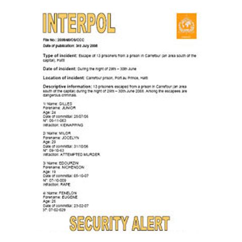 Interpolul a lansat o alertă mondială cu privire la 85 de suspecţi de terorism