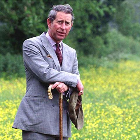 Prinţul de Wales i se alătură lui Harrison Ford pentru a salva pădurile tropicale