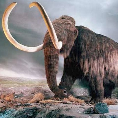 Bacteria "Viagra preistorică" ar putea mări virilitatea şi durata de viaţă a oamenilor