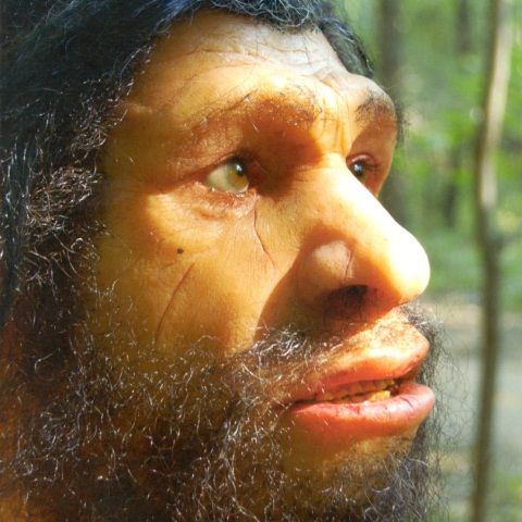 A fost decodat genomul omului de Neanderthal
