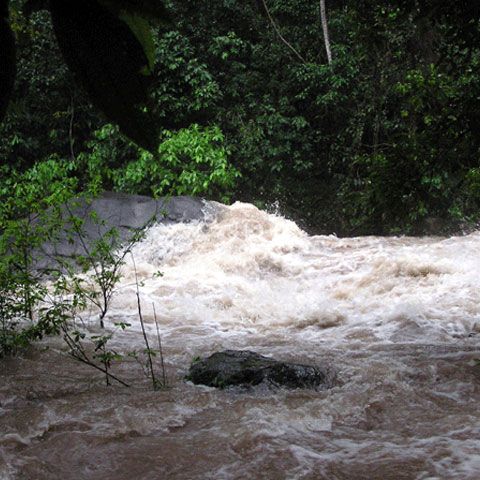 Hidrologii au emis avertizare cod galben pe râuri din trei judeţe 