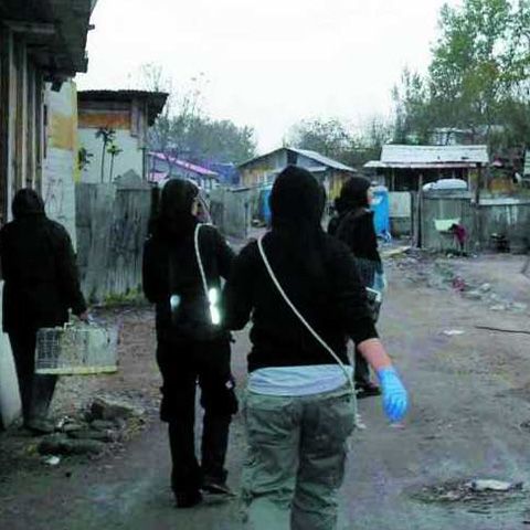 Campanie de vaccinare a locuitorilor nomazi din Italia