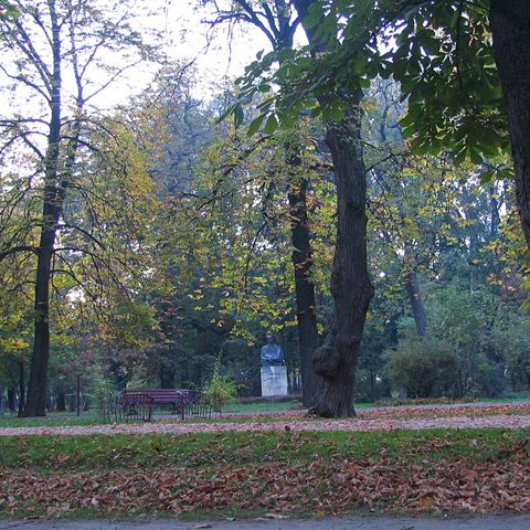 Doi romi, suspectaţi că ar fi violat o italiancă de 14 ani