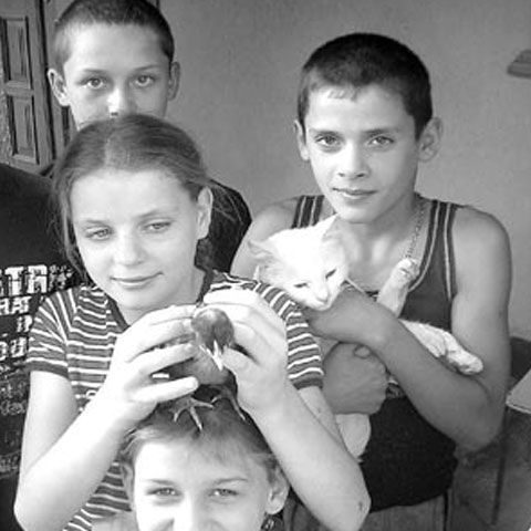 Orfanii căpşunilor