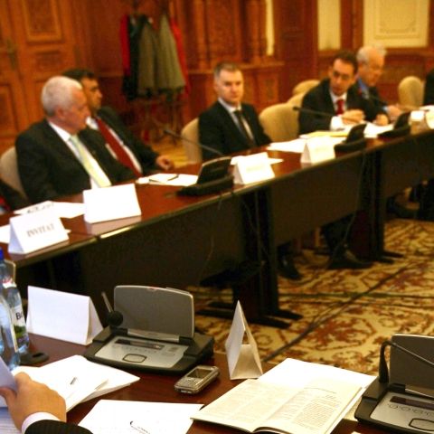 Senatorii jurişti au adus modificări Codului Silvic