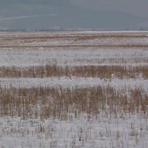 22 de firme din Braşov au primit bani mai mulţi de la APIA 