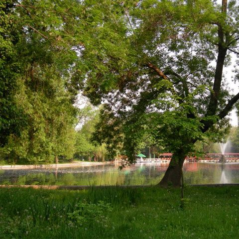 Paza în Parcurile Cişmigiu şi Tineretului a ajuns la o firmă care în 2008 avea un angajat 