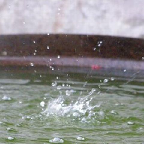 Ciclon spre România