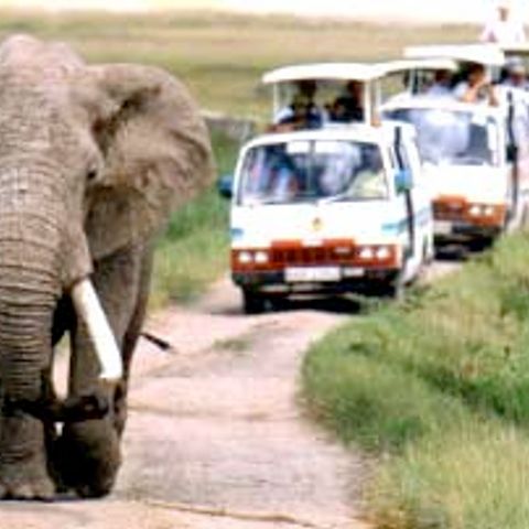 Guvernul kenian face muzeu în satul de baştină al familiei lui Barack Obama