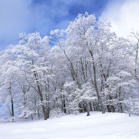 Gerul se instalează în zilele următoare în vestul ţării
