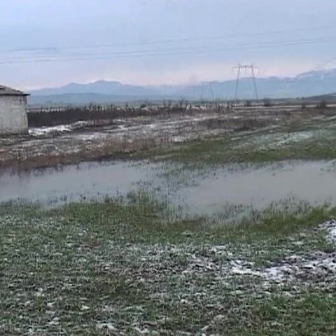 Culturile agricole din judeţul Gorj sunt salvate de ninsorile abundente 