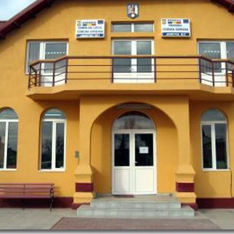 Candidatul PSD a câştigat alegerile pentru Primăria Găneasa - Olt