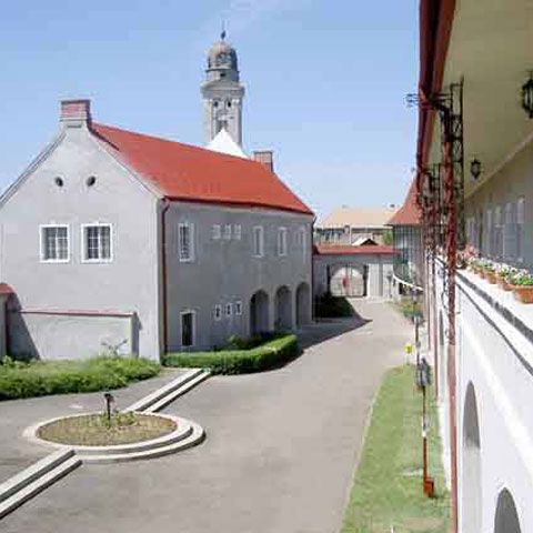 Fostul director al Muzeului Judeţean de Istorie Maramureş şi alţi trei salariaţi sunt urmăriţi penal