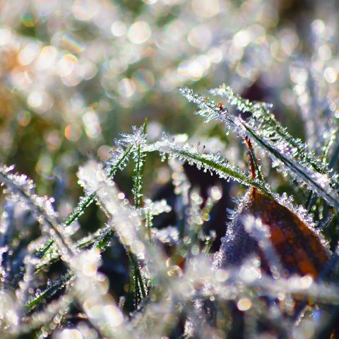 Vreme plăcută în Capitală, cu cer variabil