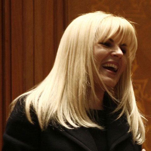Udrea consideră că PD-L Covasna şi Harghita ar merita un loc eligibil pe listă la europarlamentare