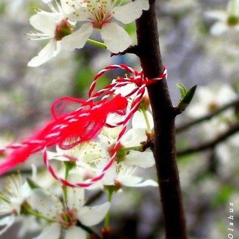Mărţişorul, simbol al frumuseţii şi al norocului