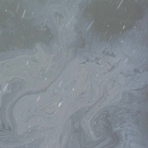 Crişul Repede a fost poluat cu o substanţă uleioasă necunoscută 