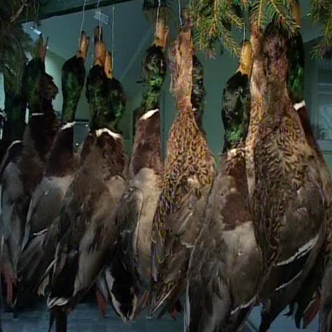 Vânătorii din Alba au organizat un bal la încheierea sezonului 